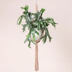 The Palm Centre Store -The Palm Centre Store 357 scaled 1