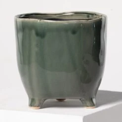 Indoor Pot Kaat – Green -The Palm Centre Store 3934 1