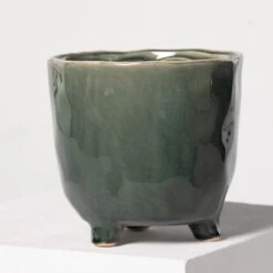 Indoor Pot Kaat – Green -The Palm Centre Store 3935 1