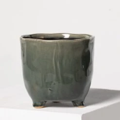 Indoor Pot Kaat – Green -The Palm Centre Store 3936 1