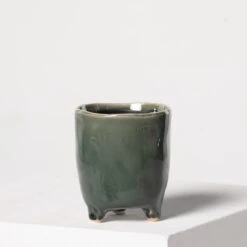 Indoor Pot Kaat – Green -The Palm Centre Store 3937 1