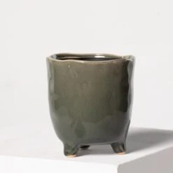 Indoor Pot Kaat – Green -The Palm Centre Store 3938 1