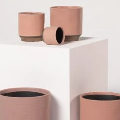 Indoor Pot Suze – Pink -The Palm Centre Store 3997