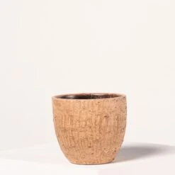 Indoor Pot Karlijn – Camel -The Palm Centre Store 4059