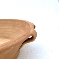 The Palm Centre Store -The Palm Centre Store CRET LE 61ec46b92d42c