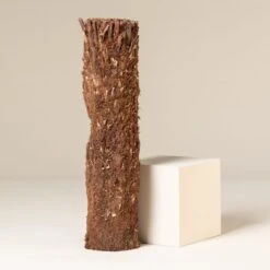 Dicksonia Antarctica (medium Size Trunk)