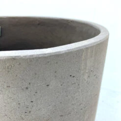 Indoor Pot Charlie – Mocha -The Palm Centre Store ECL M 6280b99cf9062