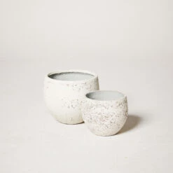 Creastone Granite Grand Lotus Plant Pot – Ivory