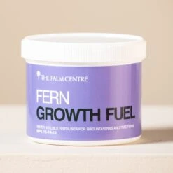 Fern Growth Fuel -The Palm Centre Store G 18697 5fb67359f2bac