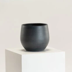 Indoor Pot Esra – Black 6 Indoor Pot Esra – Black -The Palm Centre Store IND EB 20
