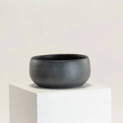 Indoor Pot Esra – Black 7 Indoor Pot Esra – Black -The Palm Centre Store IND EBB