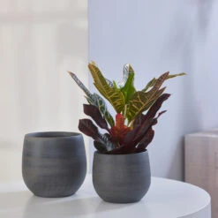 Indoor Pot Esra Mystic – Grey -The Palm Centre Store IND ES 6