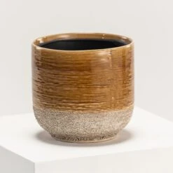 Indoor Pot Issa – Yellow -The Palm Centre Store IND IY17 6 scaled 1