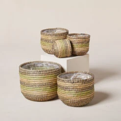 Indoor Pot Jane – Jungle