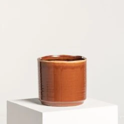 Indoor Pot Jordy – Caramel 19 Indoor Pot Jordy – Caramel -The Palm Centre Store IND JO 8 2 scaled 1