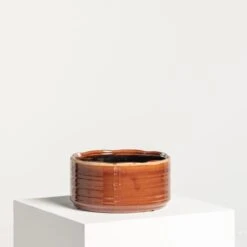 Indoor Pot Jordy – Caramel 12 Indoor Pot Jordy – Caramel -The Palm Centre Store IND JO10 3 scaled 1