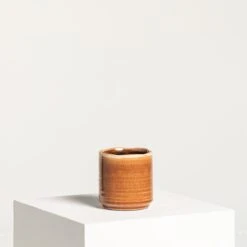 Indoor Pot Jordy – Caramel 15 Indoor Pot Jordy – Caramel -The Palm Centre Store IND JO11 5 scaled 1