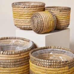 Indoor Pot Jane – Savana -The Palm Centre Store IND JSA 6199392c30108