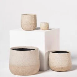 Indoor Pot Iris – Sand