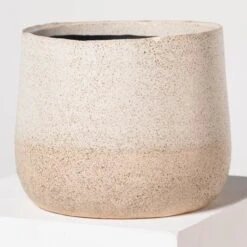 Indoor Pot Iris – Sand -The Palm Centre Store I 18210 5efdaa8a40490