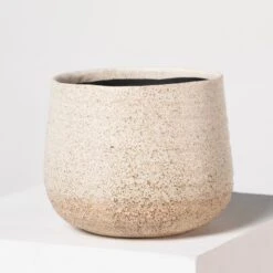 Indoor Pot Iris – Sand -The Palm Centre Store I 18210 5efdaa8bff810