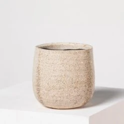 Indoor Pot Iris – Sand -The Palm Centre Store I 18210 5efdaa8cd6262