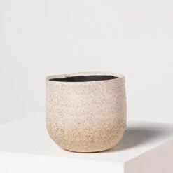 Indoor Pot Iris – Sand -The Palm Centre Store I 18210 5efdaa8dba551