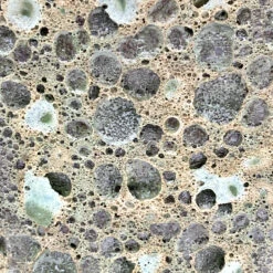 Andros Aquarius Galaxy Outdoor Pot (Emerald Green) -The Palm Centre Store TS ANDAQGXY 628af76fb4ee3