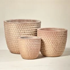 Dimple Egg Pot – Coral