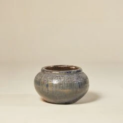 Snake Pot